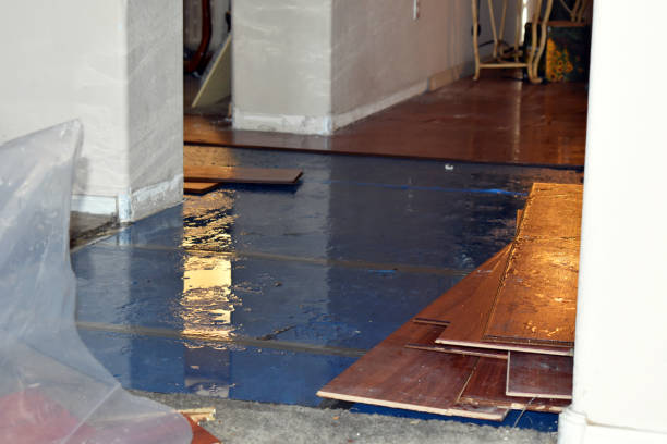 Professional Water Extraction technician working in Fenwick, MI
